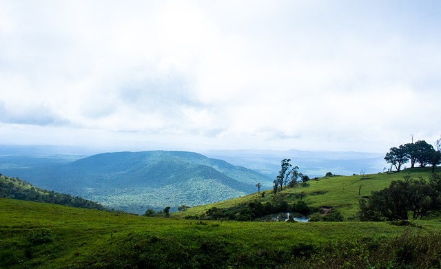 他加盟布伦 他加盟布伦