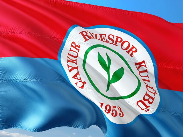 将贯穿全文 将贯穿全文