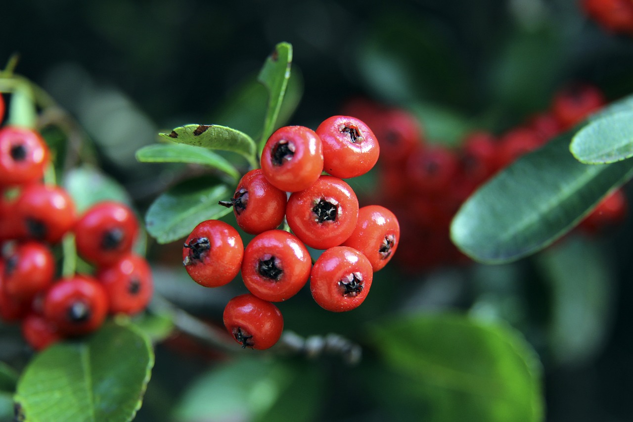 定位的重要 定位的重要