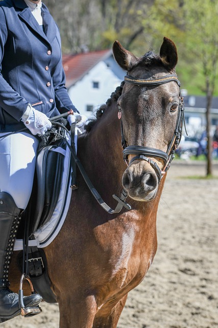 这里起航 这里起航