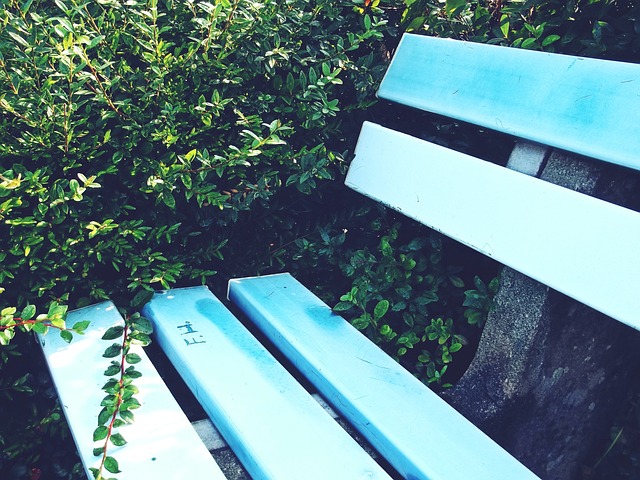 外援的数量 外援的数量