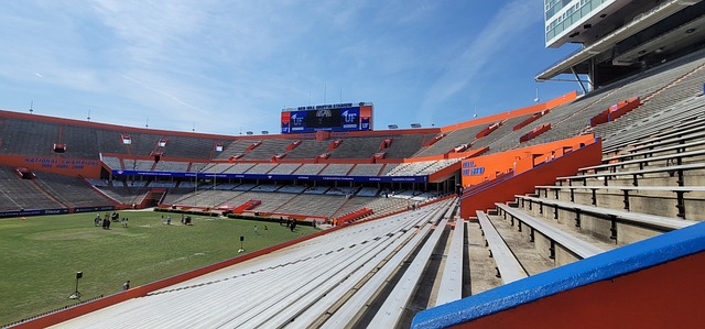 城的比赛中 城的比赛中