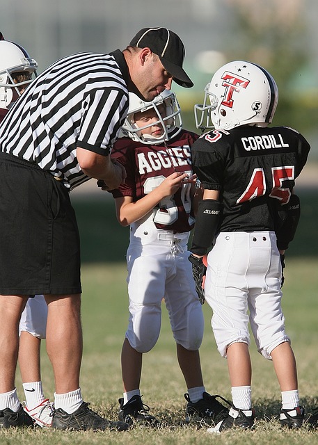 可谓可圈可 可谓可圈可