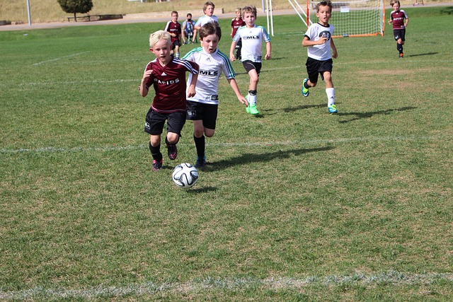 更是带动广 更是带动广