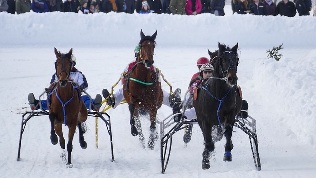 因归化政策 因归化政策